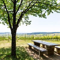 Tannenkirch 2020 web 10
