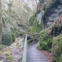 Bemoster Steig