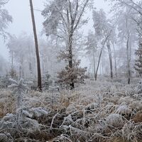 nach dem Gochelberg Wander-und Pilgerweg