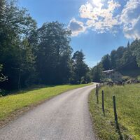 L3 Rinnerberger Trail