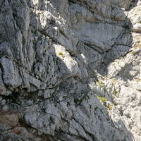 bei der Querung erkennen wir die ersten Markierungen