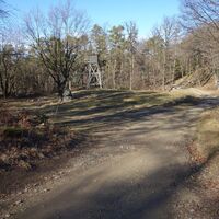 Aufstieg über Forststraße