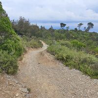 9.4 km Schotterfahrt zum DH Donne