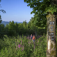 Wandern zwischen Fingerhüten