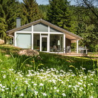 Ferienhaus Lichtung im Sommer