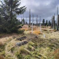 Abzweig vom Grenzsteig zum Oberen Gruftsteig