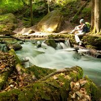 Karlstalschlucht bei Trippstadt
