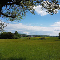 Schöner Sommer am Lochbachpfad