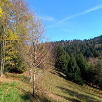 Rückweg in Richtung Hohwehraschlucht