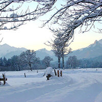Winterwanderung - Weidmoos