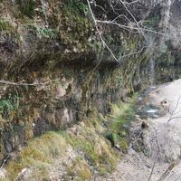 Rinnende Mauer Trail - Molln (lang)