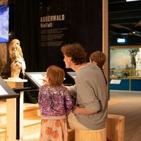 NaturErlebnisMuseum nature4future (c) Michael Koopmans (6).jpg