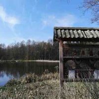 Woltersburger Fischteiche