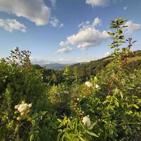 Ausblick von Plenzengreith bei Passail, Naturpark Almenland in der Oststeiermark