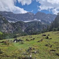 Blick hinauf zur Kohlbergspitze (siehe auch meine Tour Kohlberspitze) und Schärtle.