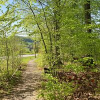 Auf den Spuren des Wildschütz Klostermann | Wegmarkierung