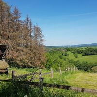 14_wiesebosseborn_stephanberg