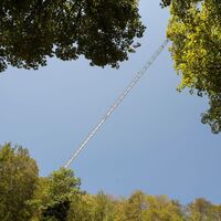 Hängebrücke Blackforestline von unten