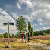 Wanderung auf der Heideschleife Büsenbachtal