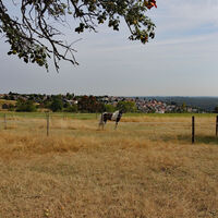 Beim Islandpferdegestüt Wiesenhof