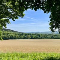 Ausblick Hube_Verlängerung Eichendorfallee 