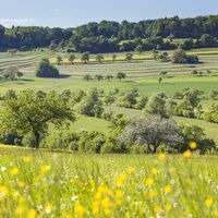 Die typische Bliesgau-Landschaft bei Medelsheim