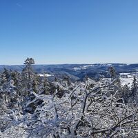 Langer Berg Winter