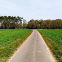 Prälatenweg