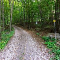 Weg nach Loibersdorf am Stein und Zeit Weg