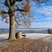 Qualitätstour Zum Ebersnacken (Ki 1)