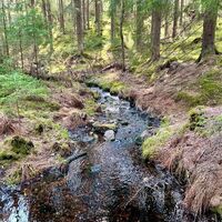 Schöner Waldfluss entlang der Strecke