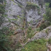 Felsen