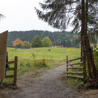Am Gatter angekommen ist nach wenigen Minuten Fußweg das Ziel erreicht.