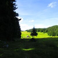 Herenbodenalm