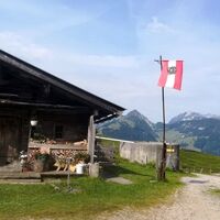 Schnappenalm Region St. Johann in Tirol Kirchdorf in Tirol