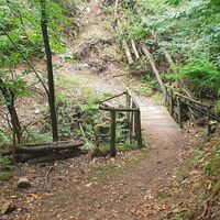 Trail ins Tal
