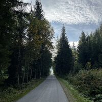 Hier bereits Sichtweiten >100m