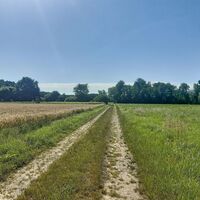 Weiter Feldweg