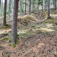 Aufstieg durch den Wald