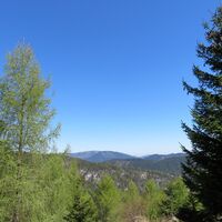 Rohrbachgraben -- Bodenwiese auf der Gahns