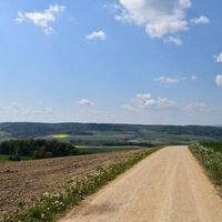 baldingen-weg-und-sicht-richtung-lengnau