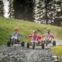 MONSTERROLLER &amp; MOUNTAINCART DOWNHILL