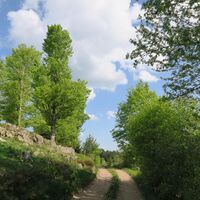 Dachsberg 1