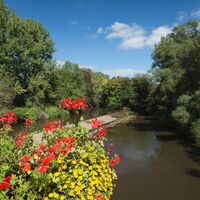 Blick auf ein Wehr in der Blies