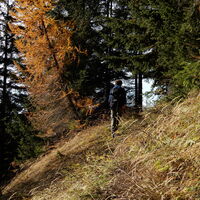 Altenbergsteig - Heukuppe