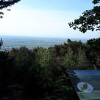 Aussicht Nollenkopf