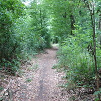am Weg nach Hadersfeld zum Gipfel und Obelisk
