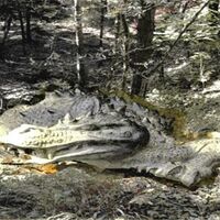 Lindwurm am Lindigweg