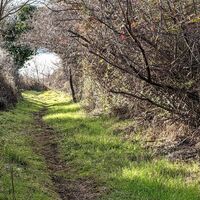 Salasc – Wanderweg „Les Béals 13“ @ Gilles Delerue