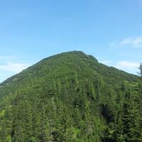 Kienberg
